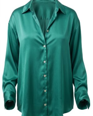 Blusa Zara - XL